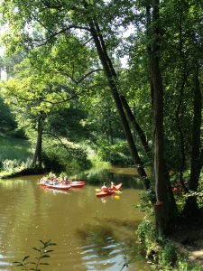 Plaukimas baidarėmis Varėnės upe